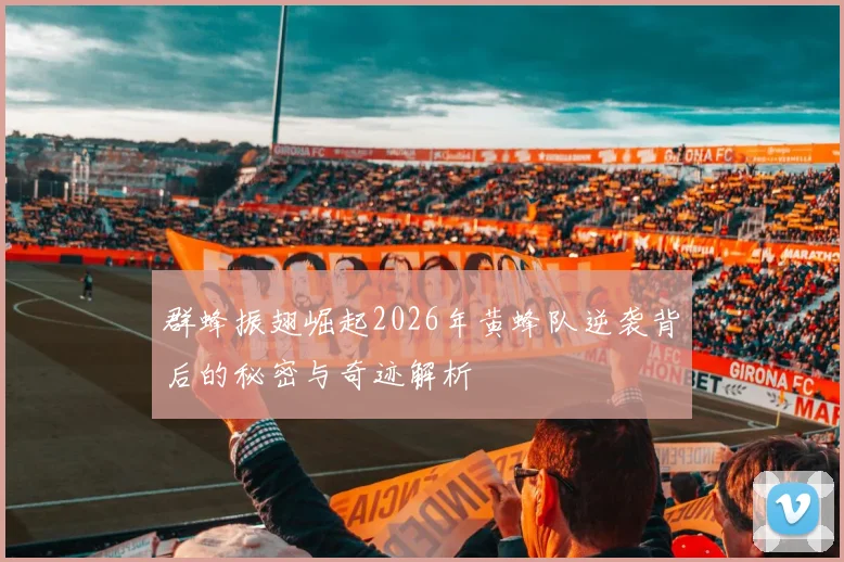 群蜂振翅崛起2026年黄蜂队逆袭背后的秘密与奇迹解析