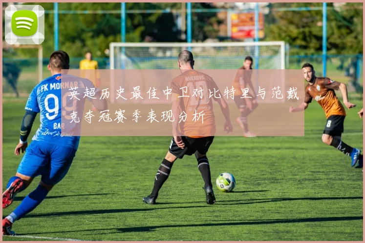 英超历史最佳中卫对比特里与范戴克夺冠赛季表现分析